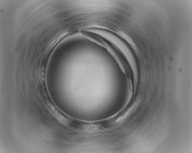 X0000088600793200705251213