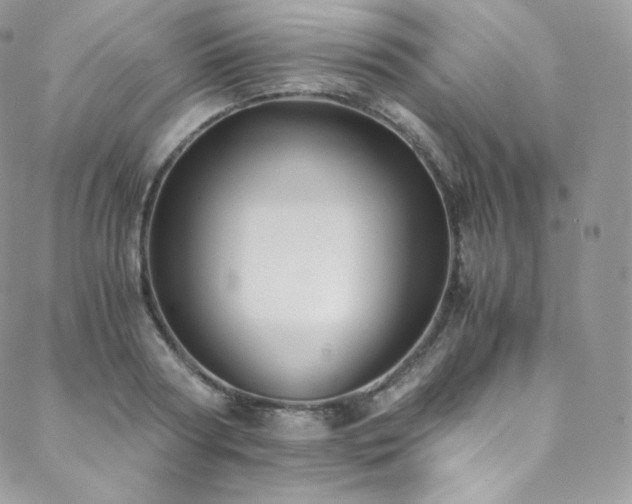 X0000088600794200705251213