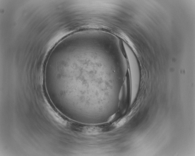 X0000088600795200705251213