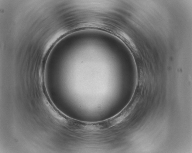 X0000088600796200705251213