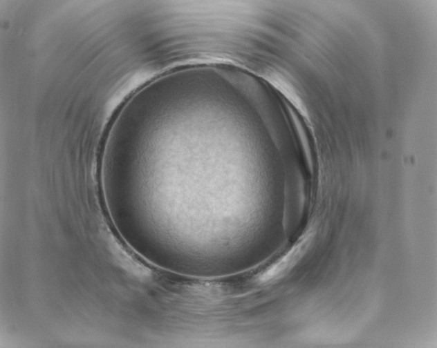 X0000088600797200705251213