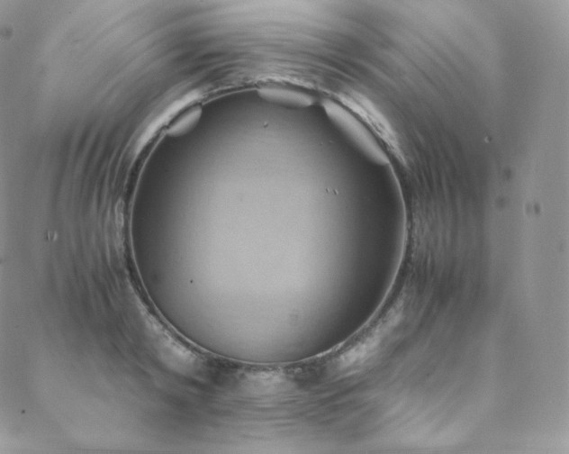 X0000088600798200705251213