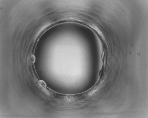 X0000088600799200705251213