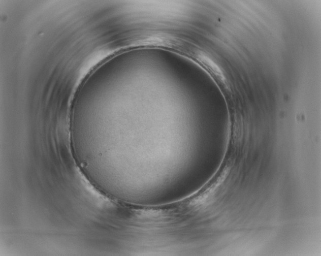 X0000088600800200705251213