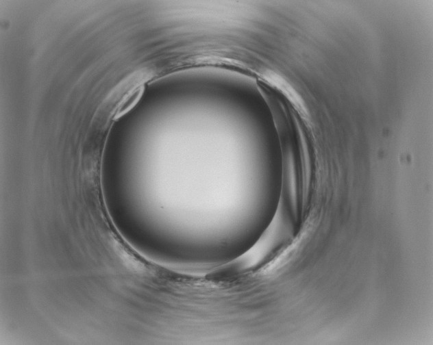 X0000088600801200705251213