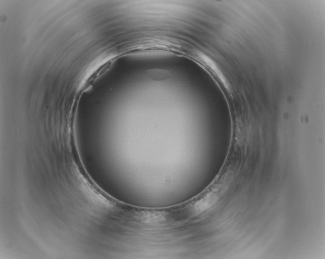 X0000088600802200705251213