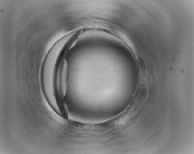 X0000088600803200705251213