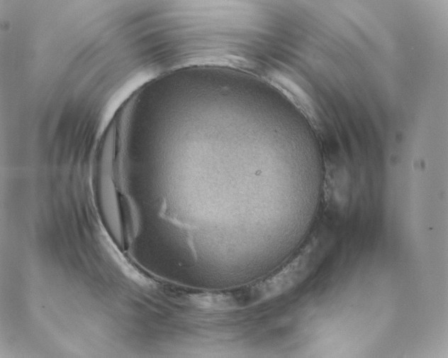 X0000088600804200705251213