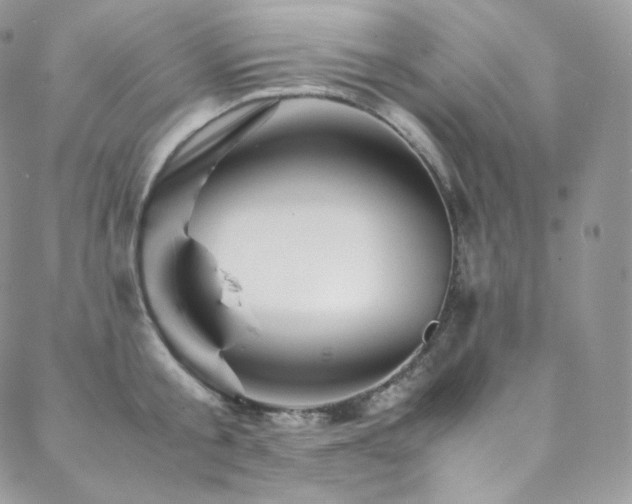 X0000088600805200705251213