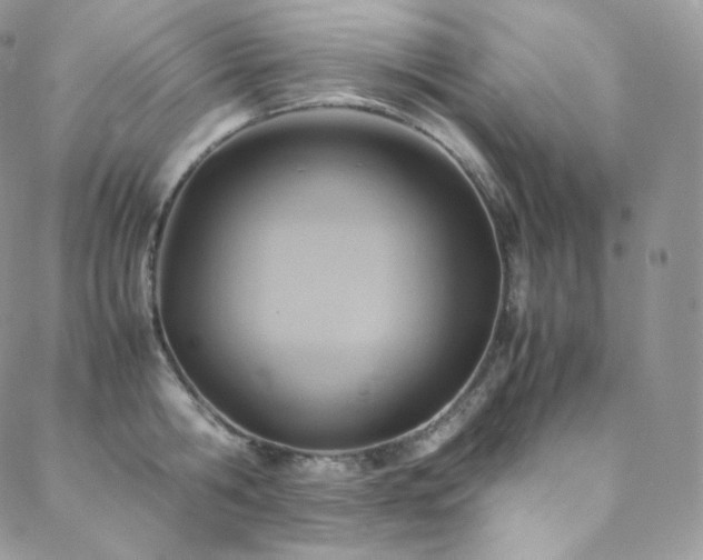 X0000088600806200705251213