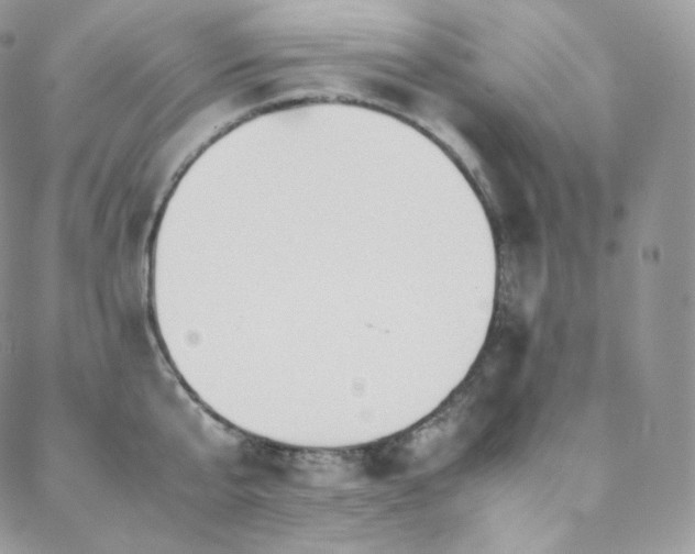 X0000088600807200705251213