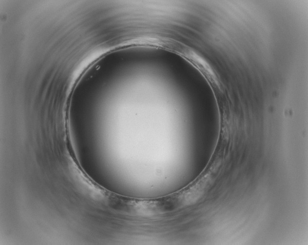 X0000088600808200705251212