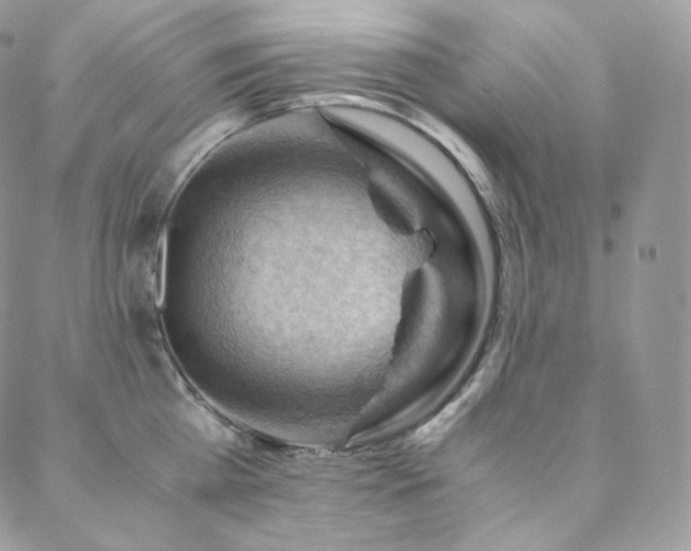 X0000088600809200705251212