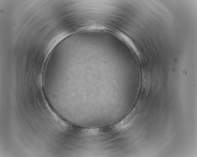 X0000088600810200705251212