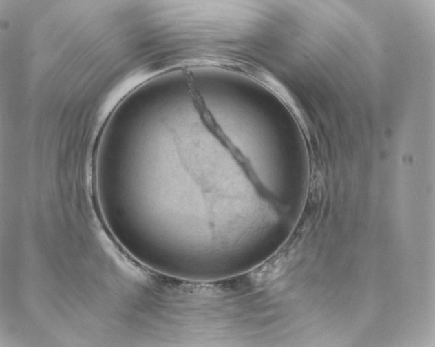 X0000088600811200705251212