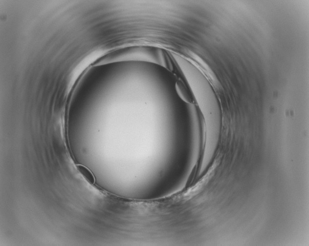 X0000088600812200705251212