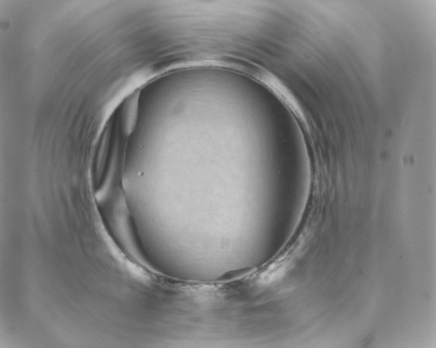 X0000088600813200705251212