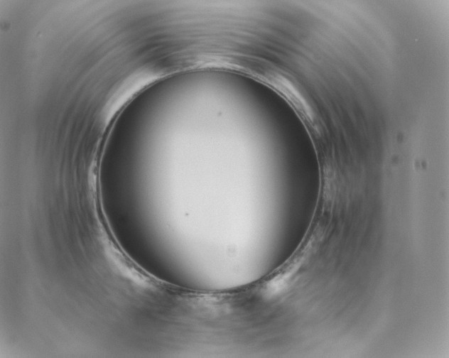 X0000088600814200705251212