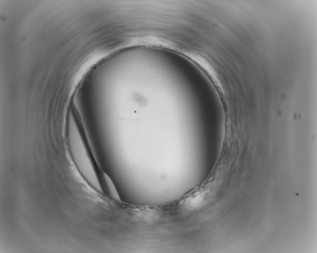 X0000088600815200705251212