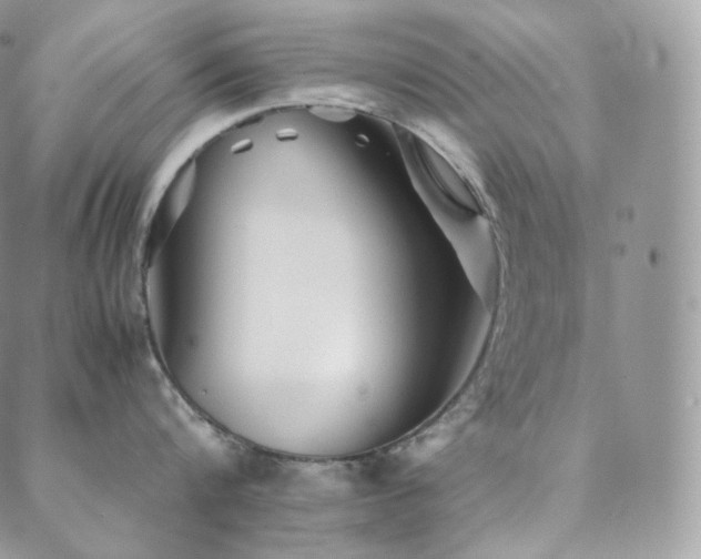 X0000088600816200705251212