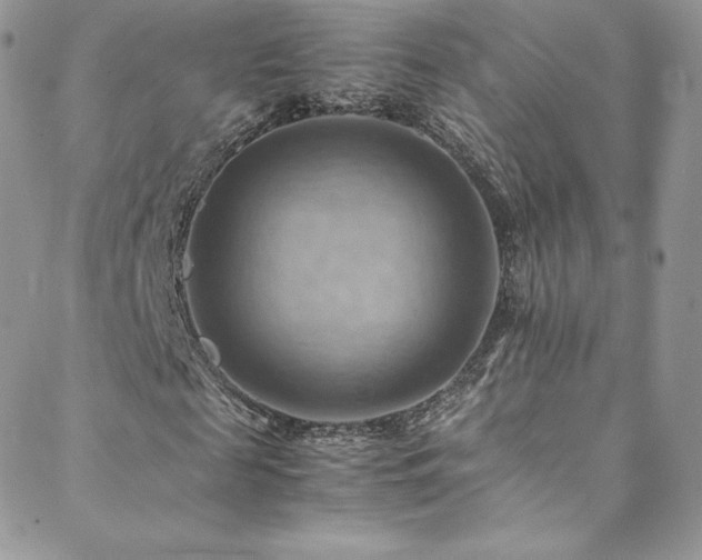 X0000088600817200705251212