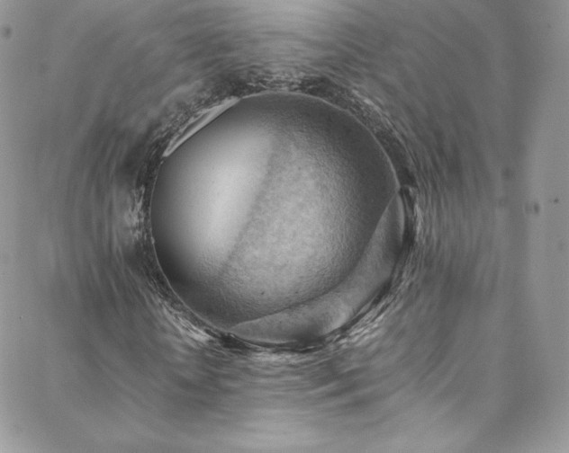 X0000088600818200705251212