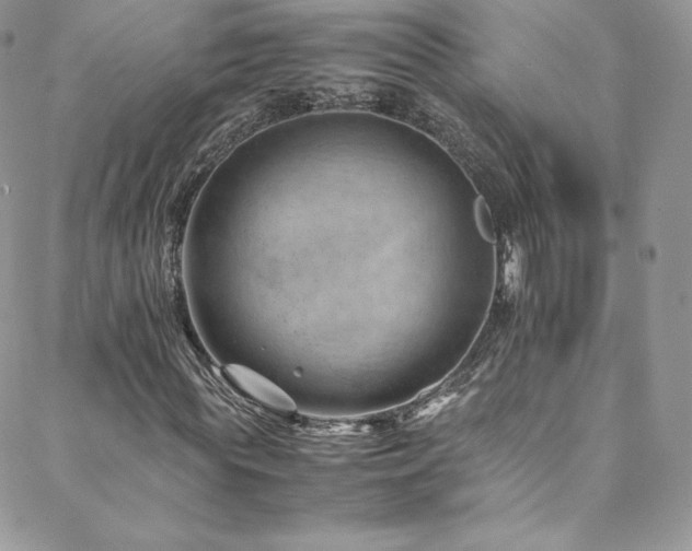 X0000088600819200705251212