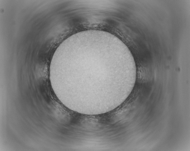 X0000088600820200705251212