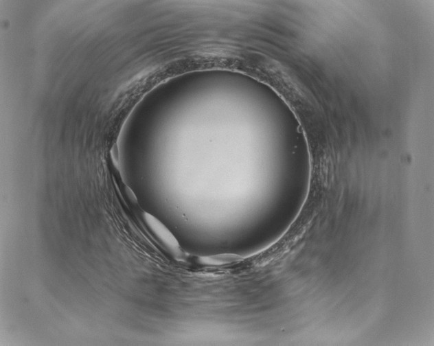 X0000088600821200705251212