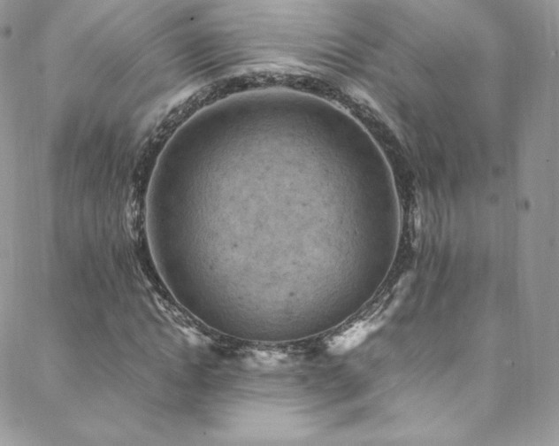 X0000088600822200705251212