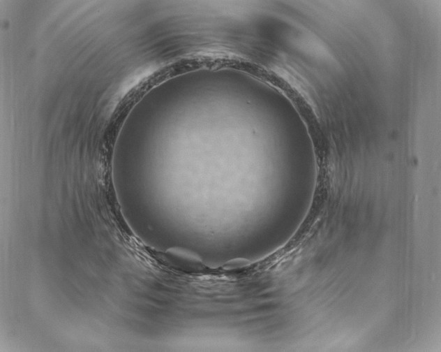 X0000088600823200705251212