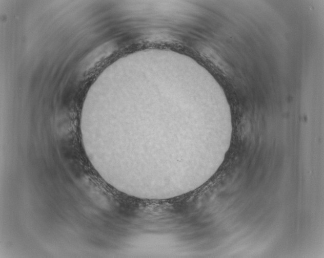 X0000088600824200705251212