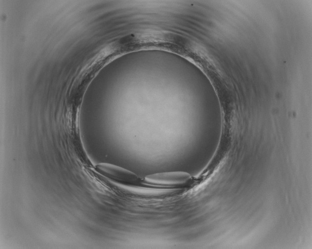 X0000088600825200705251212