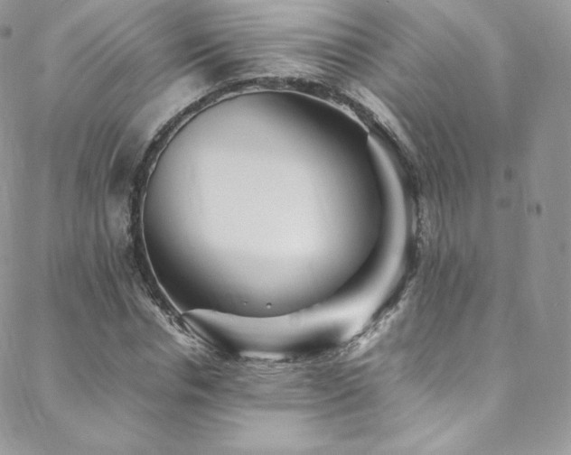 X0000088600826200705251212