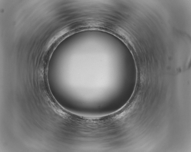 X0000088600827200705251212