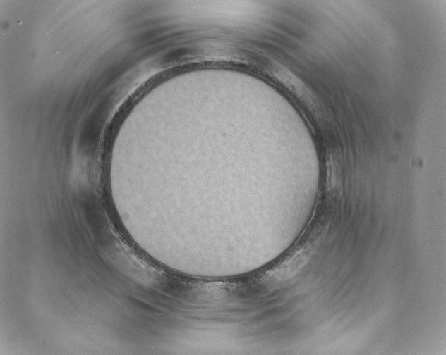 X0000088600828200705251212