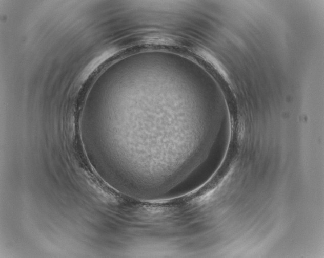 X0000088600829200705251212