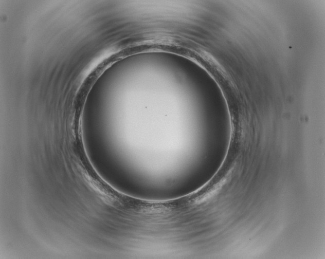 X0000088600830200705251212