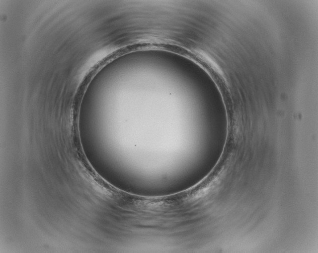 X0000088600831200705251212