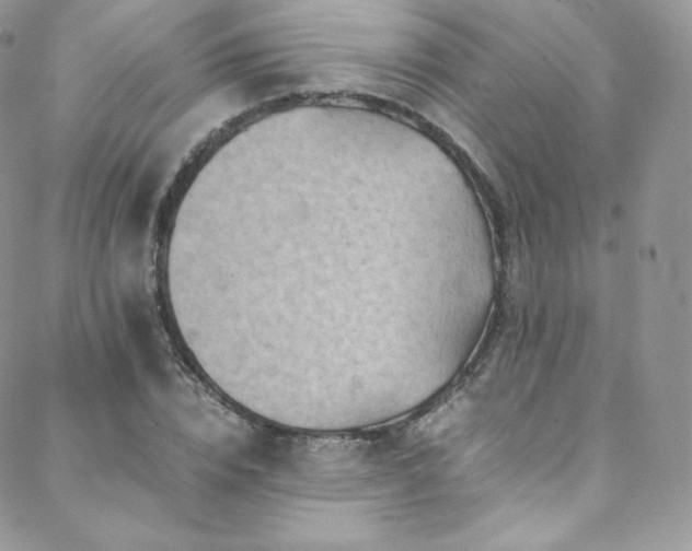 X0000088600832200705251212