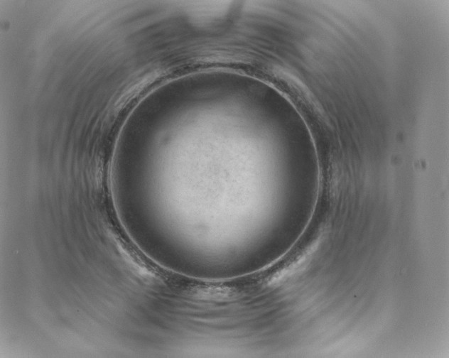 X0000088600833200705251212