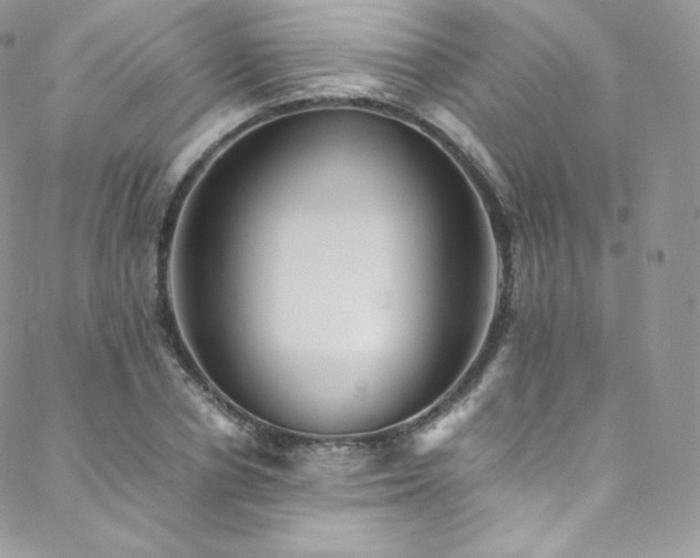 X0000088600834200705251212