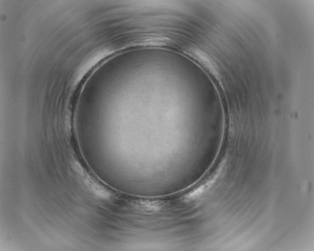 X0000088600835200705251212