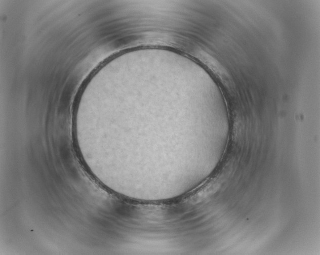 X0000088600836200705251212