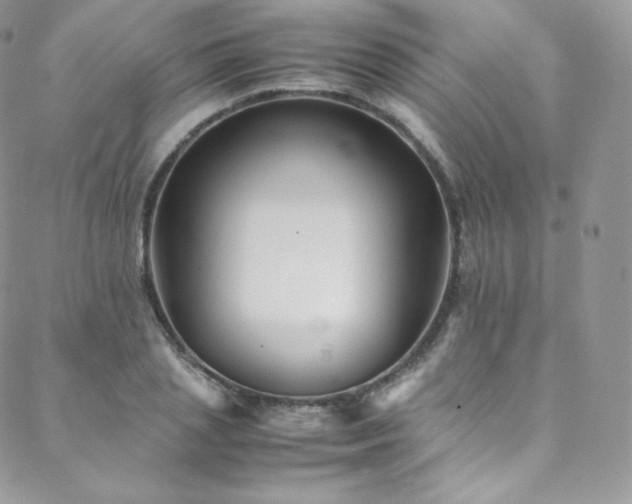 X0000088600837200705251212