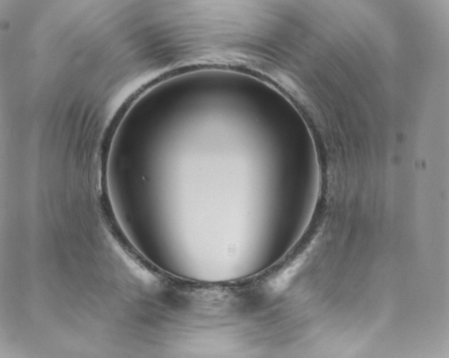 X0000088600838200705251212