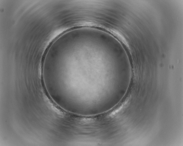 X0000088600839200705251212