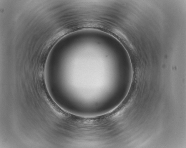 X0000088600841200705251212