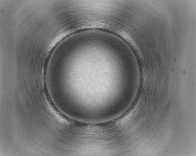 X0000088600842200705251212