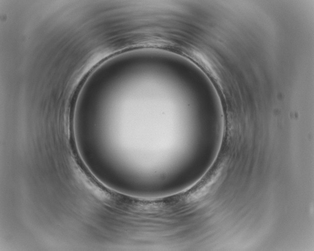 X0000088600843200705251212